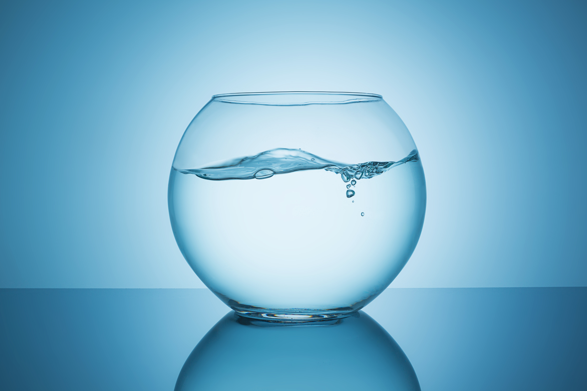 Water Waves in a Fishbowl